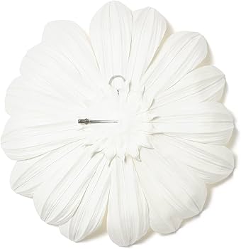 61Q-AF2+VlL._AC_UF350, 61Q-AF2+VlL._AC_UF350,